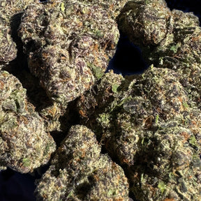Lively and aromatic Party Poppers brings sweet fruit and a touch of gas on the nose. This balanced hybrid cultivar has stunning, colorful buds and candy-like flavor that make it a fun, flavorful choice for any occasion.