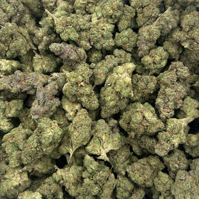 Pineapple Breeze hemp flower strain showing fluffy, resinous buds with lime green coloring and amber hairs.