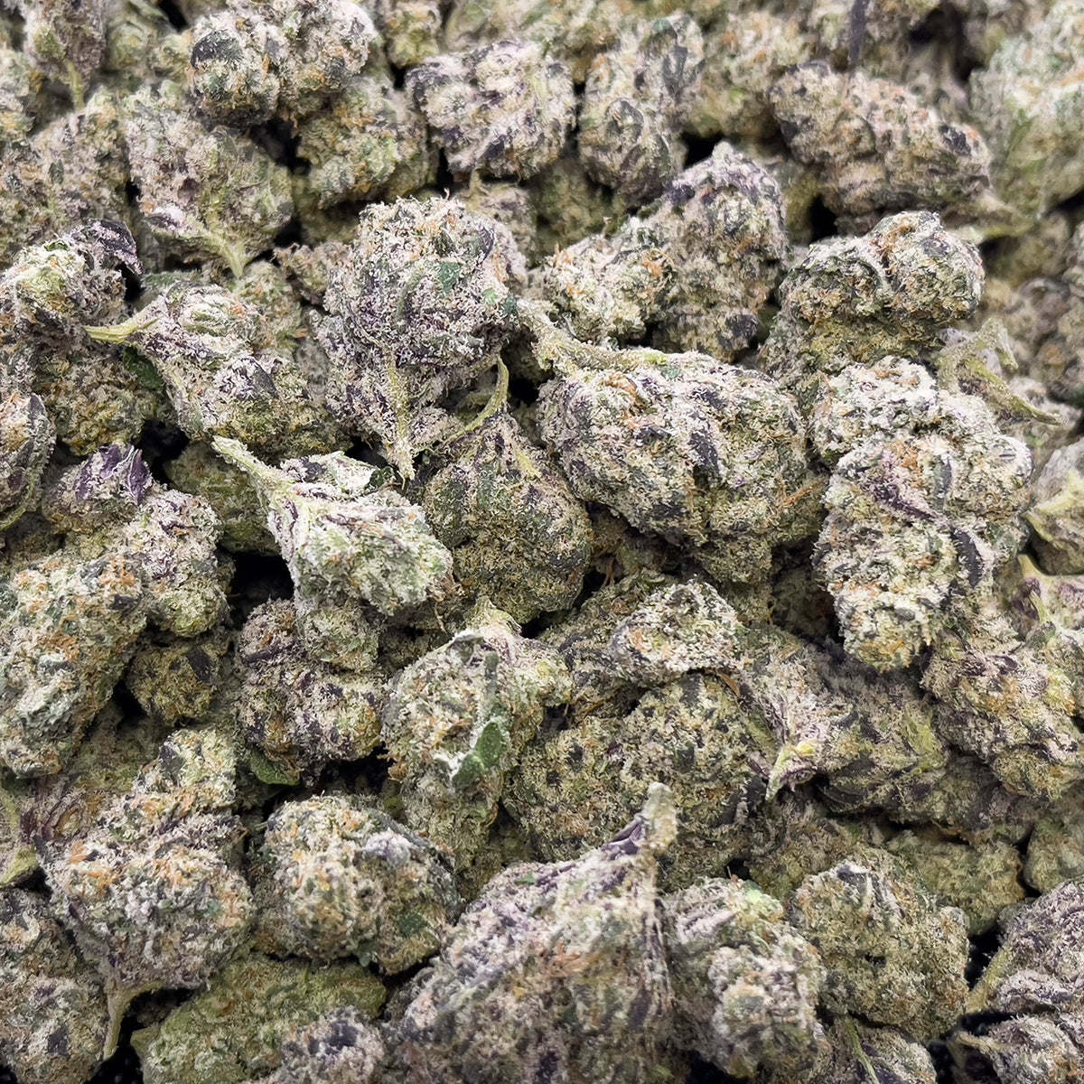 Pink Pineapple is a 36.7% sativa with vibrant green buds tipped in pink and orange hairs. Its tropical aroma of juicy pineapple and floral sweetness pairs with uplifting, energetic effects that keep you feeling bright and motivated.