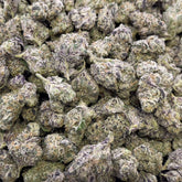 Pink Pineapple is a 36.7% sativa with vibrant green buds tipped in pink and orange hairs. Its tropical aroma of juicy pineapple and floral sweetness pairs with uplifting, energetic effects that keep you feeling bright and motivated.