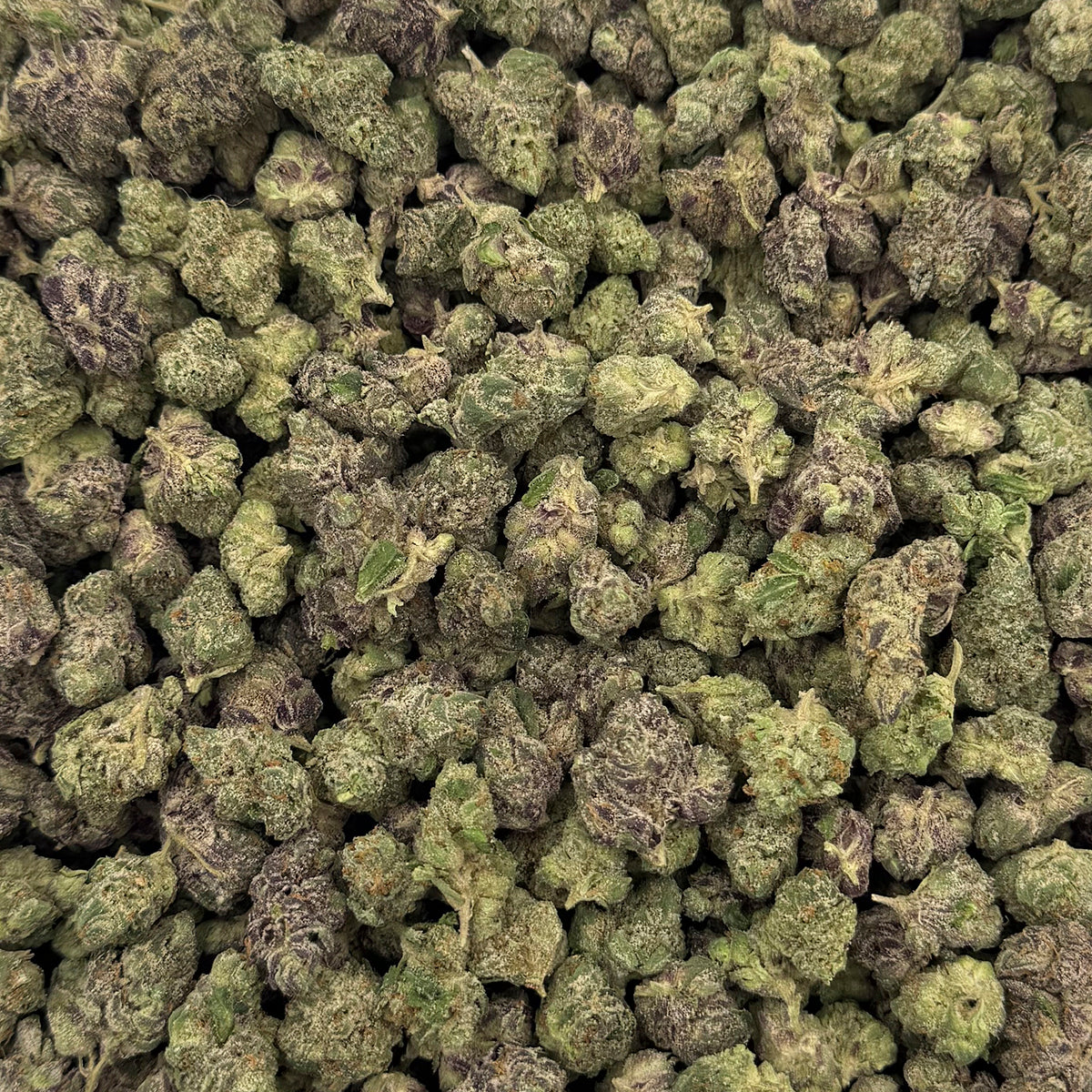 Pink Runtz is a vibrant hybrid celebrated for its candy-sweet flavor and colorful, frosty buds. Bursting with notes of tropical fruit, berry, and a hint of cream, this strain offers an aromatic experience as bright as its appearance. Smooth, flavorful, and perfectly balanced.