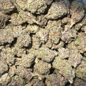 Purple Star Dawg is a bold sativa variety with a loud blend of diesel and dark fruit. Created from the phenotype of the infamous Stardawg. Expect sharp gas on the front end with sweet grape and earthy undertones. These sticky, purple-tinted buds are packed with trichomes—perfect for daytime use or creative sessions.