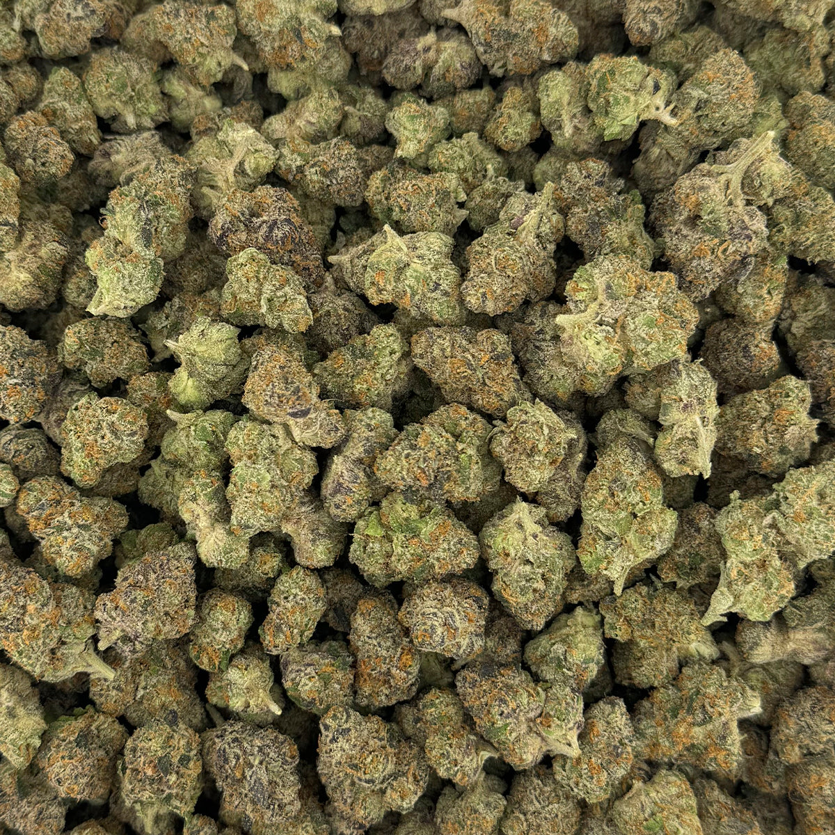 Rainbow Gelato hemp flower strain with colorful, frosted buds blending deep green and purple hues with sparkling trichomes.