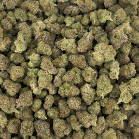 Rainbow Gelato hemp flower strain with colorful, frosted buds blending deep green and purple hues with sparkling trichomes.