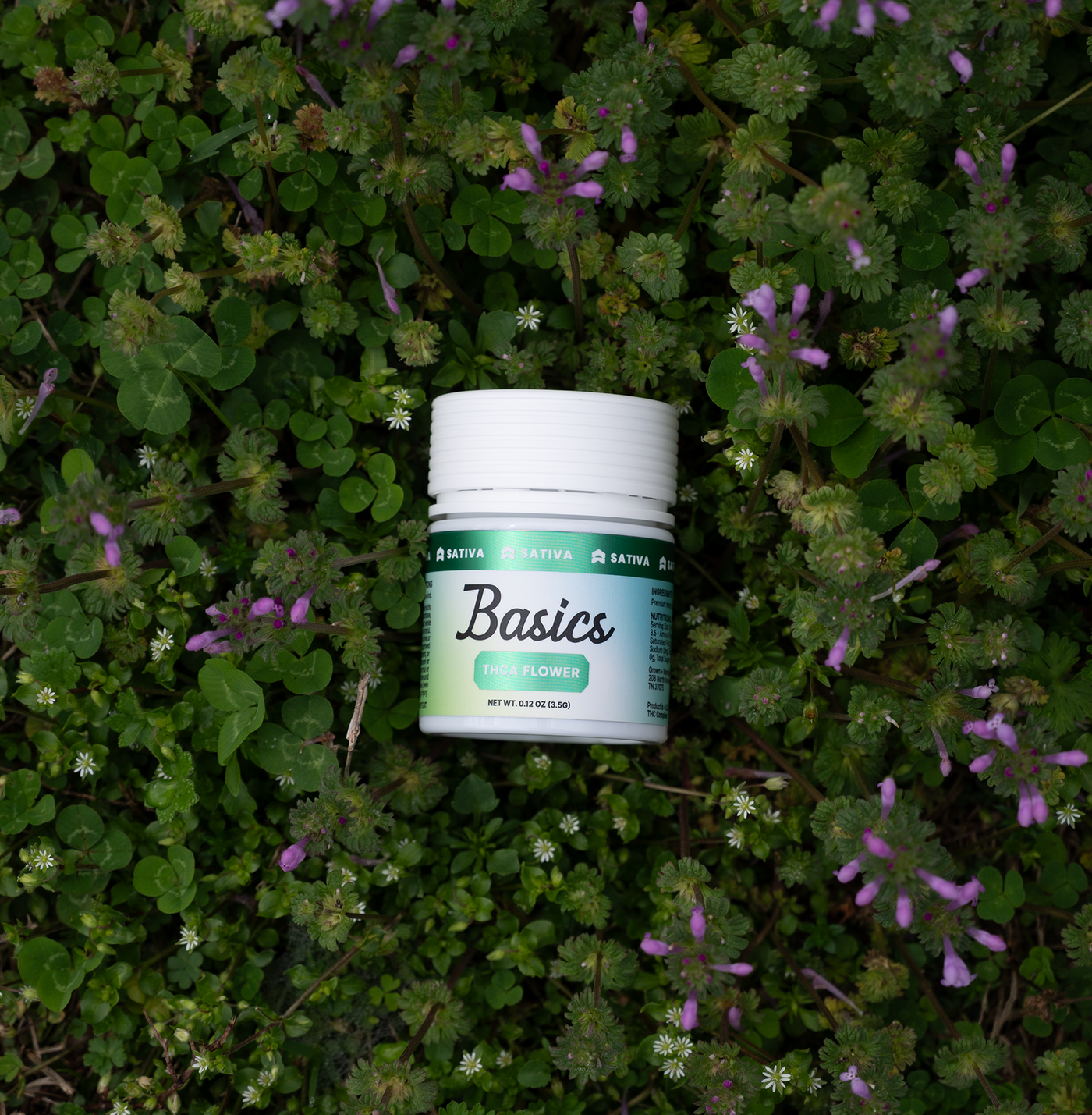 Jar labeled 'Basics' on a green leafy background