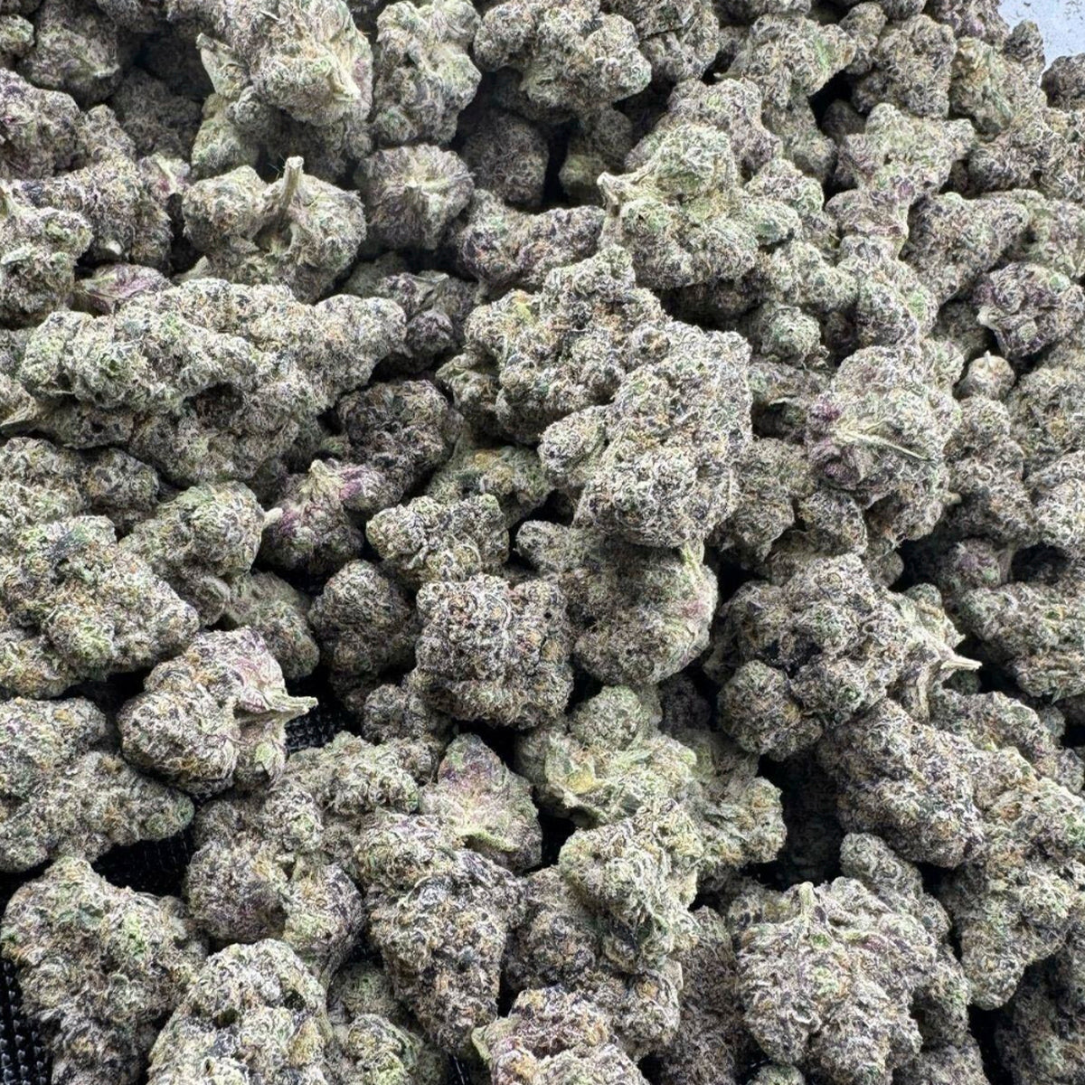Sherbzooka is an impressive indica-leaning variety that makes a bold impression. Purple undertones with candy sherbet like flavors. Perfect for a relaxing night in!