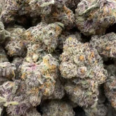 Close-up of Sour Cherry Gelato THCa hybrid hemp flower bud with dense trichomes