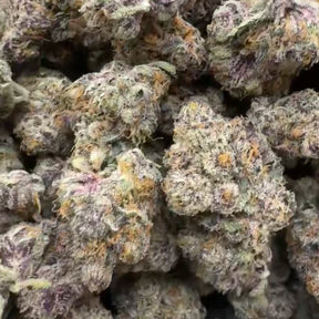 Close-up of Sour Cherry Gelato THCa hybrid hemp flower bud with dense trichomes