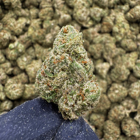Sour Toad is a balanced hybrid variety. This strain delivers a bold aroma of sharp sour citrus layered with earthy funk, subtle pine, and light diesel undertones. Hints of sweet fruit and herbal spice round out the finish, giving Sour Toad a complex, terpene-rich character with strong bag appeal.