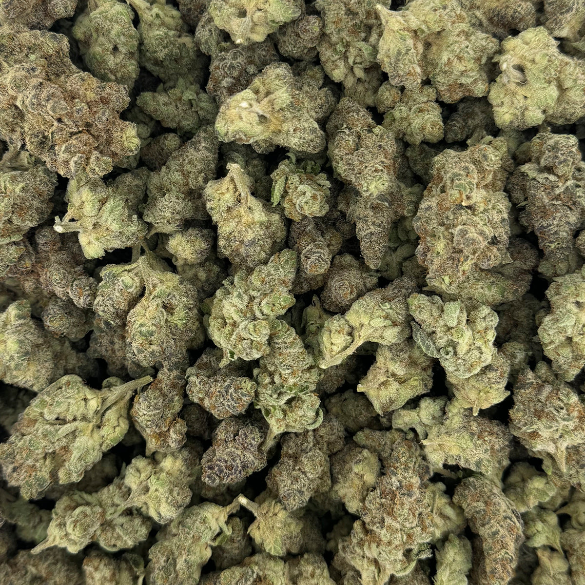 Strawberry Milkshake hemp flower strain displaying chunky, trichome-covered buds with light green tones and subtle pink accents.