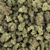 Strawberry Milkshake hemp flower strain displaying chunky, trichome-covered buds with light green tones and subtle pink accents.