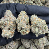 Tropical Runtz hemp flower strain with dense, frosty buds featuring vibrant green hues and bright orange pistils.