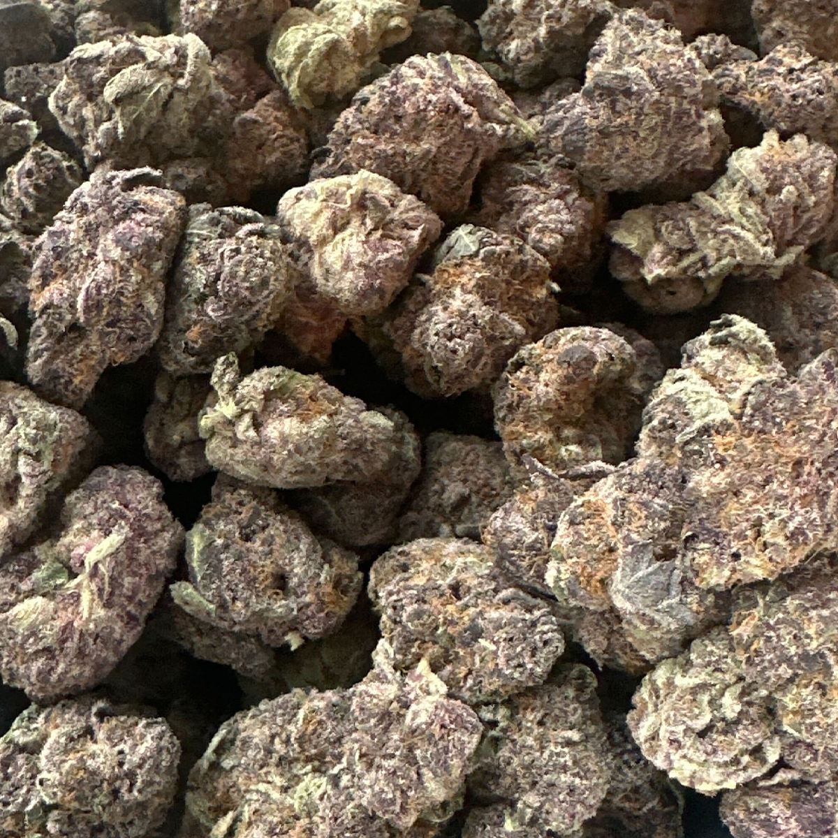 - [x] Tropicanna Cookies is a standout sativa-dominant strain known for its vibrant terpene profile and eye-catching bud structure. Bred from Girl Scout Cookies x Tangie, this cultivar delivers a zesty orange punch up front, followed by sweet, cookie-like undertones and subtle herbal notes.