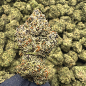 Walter White is a mysterious Sativa leaning variety knkown for its dense light green structure, orange hairs, and thick frosty trichomes. Crafted from the OG strain "The White", this is a perfect choice for those that prefer a true-crafted citrus forward Sativa.&nbsp;