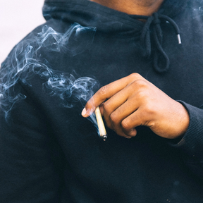 Basics Pre Roll Bundle