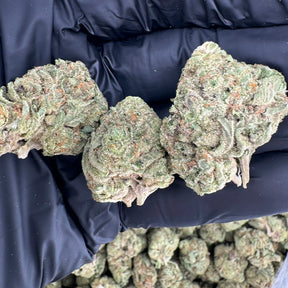 Crisp apple and creamy vanilla come together in this vibrant sativa-leaning cultivar. Candy Apple offers an aromatic blend of fruit and sweetness with a smooth, uplifting finish.