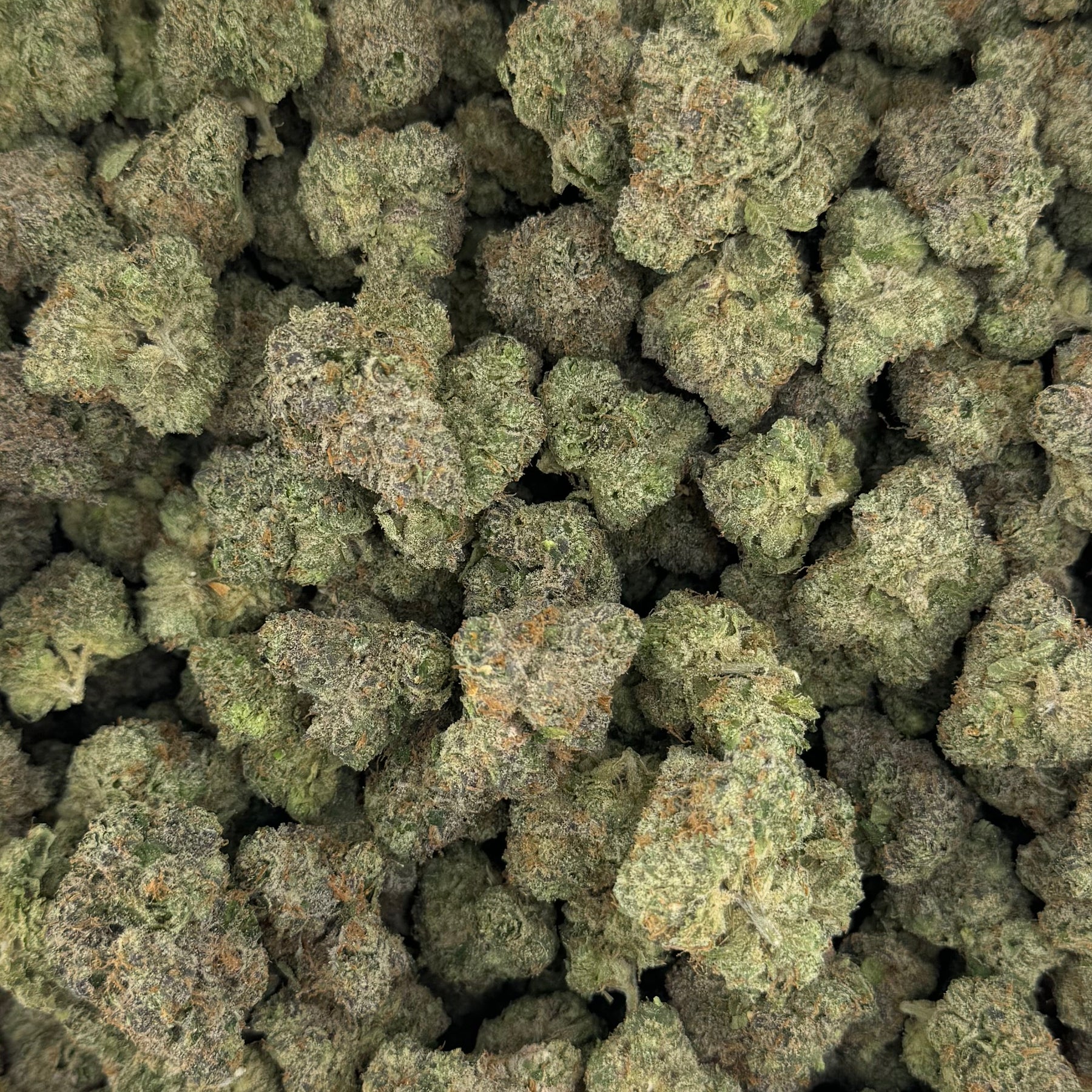 Cosmic Candy THCa Hybrid Hemp Flower