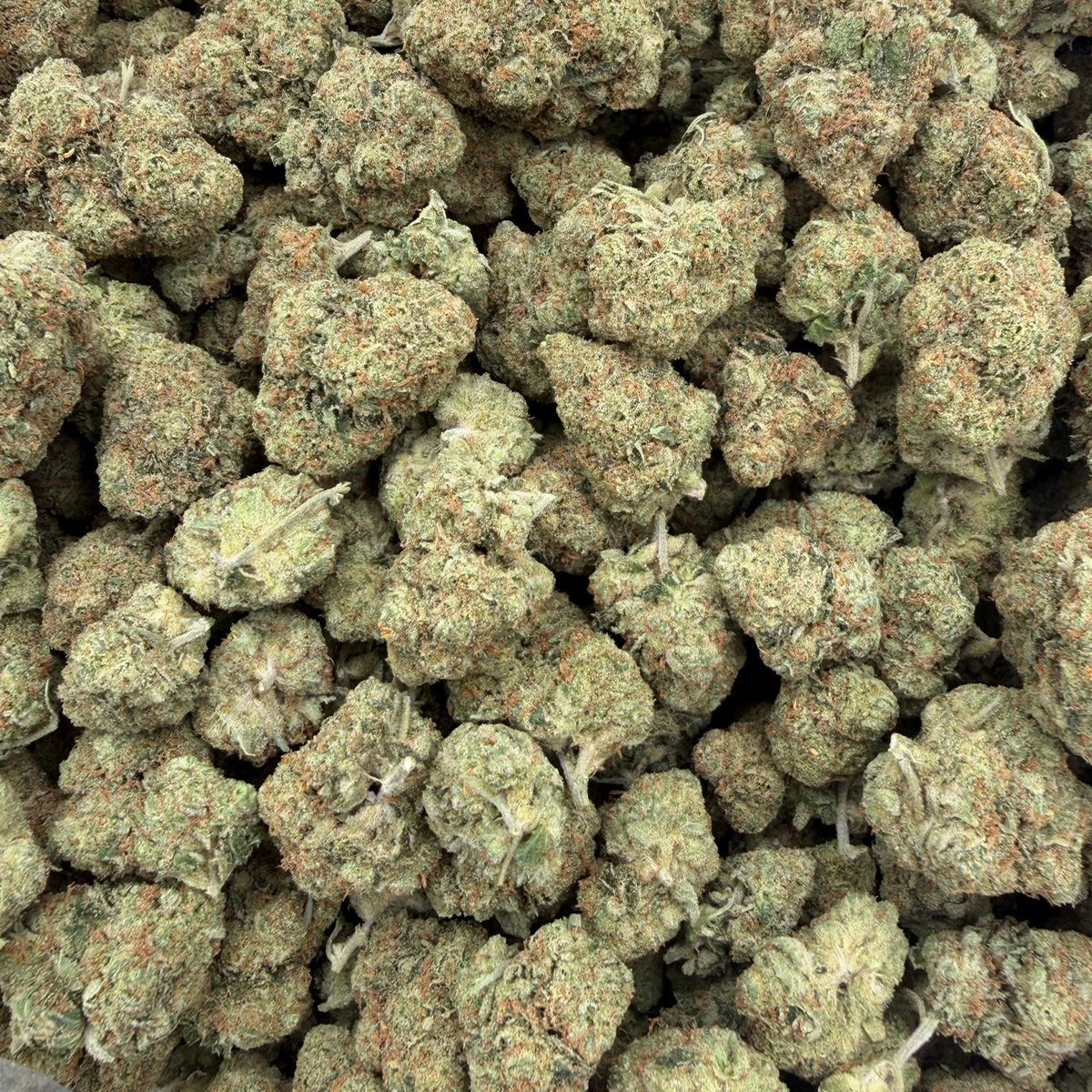 Dense Gorilla Glue hemp buds covered in sticky trichomes with dark green and amber tones