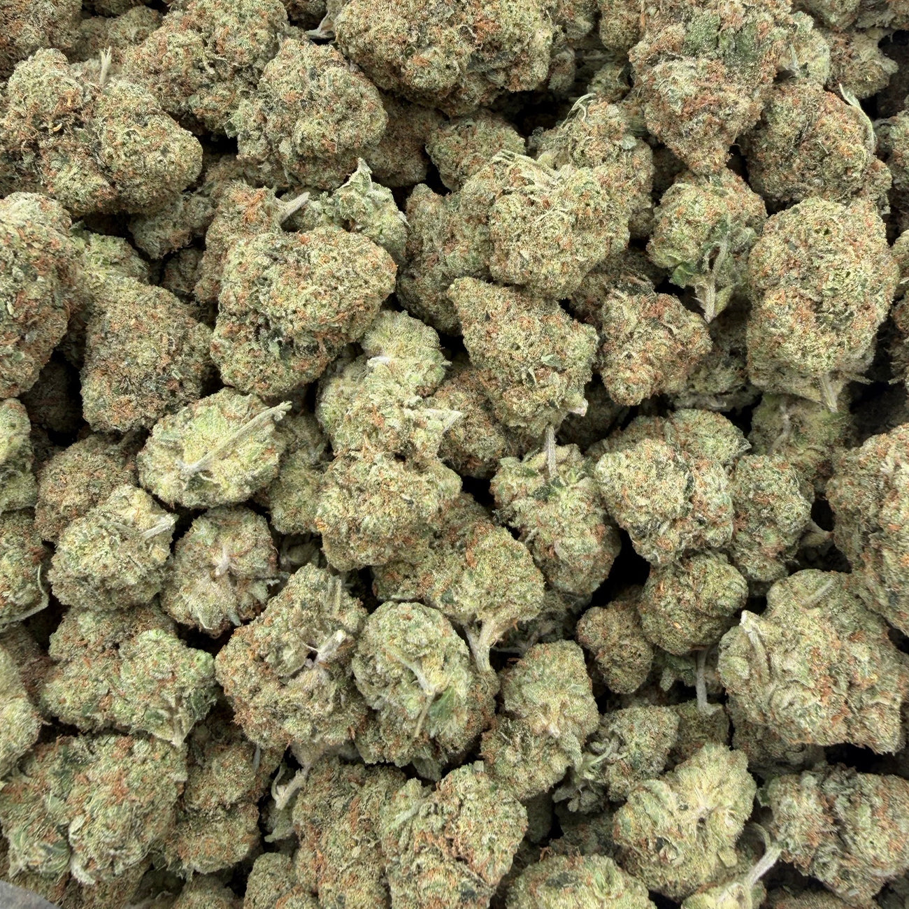 Dense Gorilla Glue hemp buds covered in sticky trichomes with dark green and amber tones