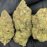 Colorful Jello Shotz hemp buds with purple hues and frosty trichome coverage