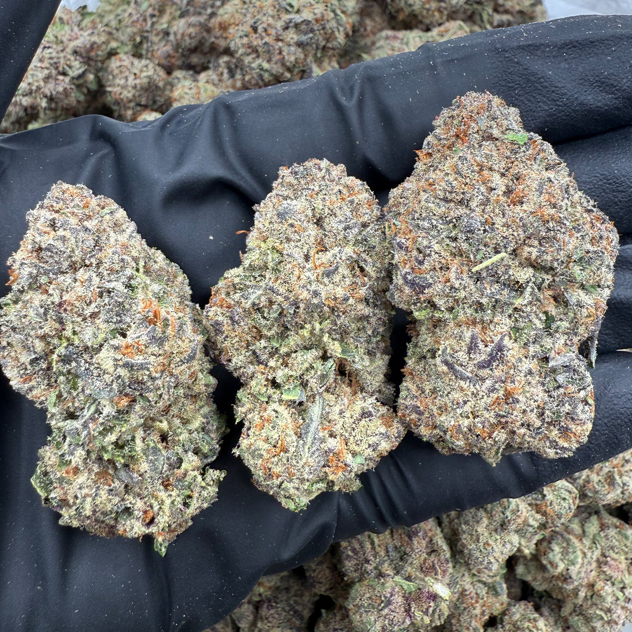 Purple Hulk hemp flower featuring deep purple buds with dense structure and crystal trichomes