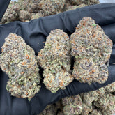 Purple Hulk hemp flower featuring deep purple buds with dense structure and crystal trichomes