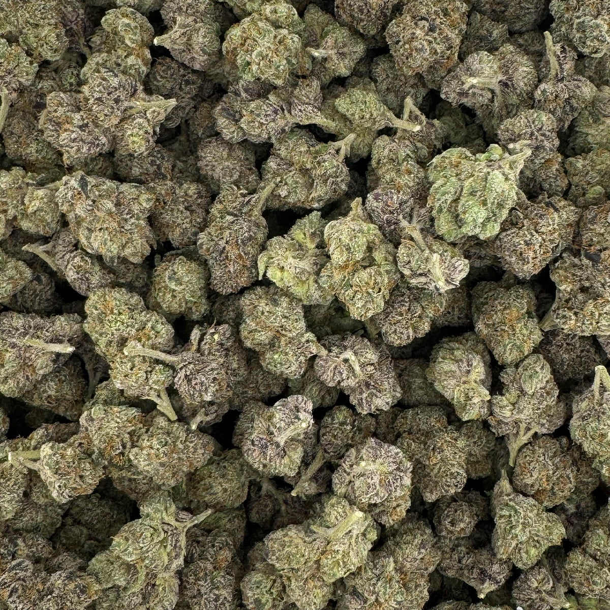 Red Velvet hemp flower strain showcasing dense, dark green buds with hints of purple and a heavy layer of frosty trichomes.