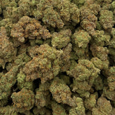Silver Surfer sativa hemp flower with bright citrus aroma and uplifting daytime effects