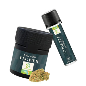 Canvast THCa Flower & Pre-Roll Gift Set