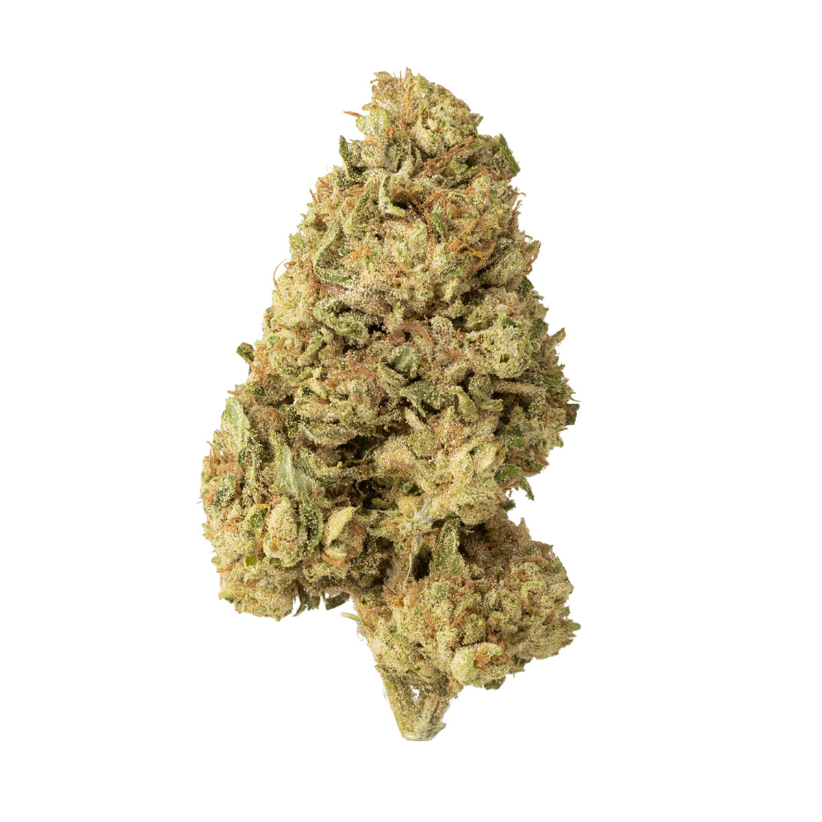 White CBG Sativa Hemp Flower - White CBG is&nbsp;a Sativa strain that works perfectly for both day and nighttime activities. These buds give you a sense of focus, clarity and calm without putting you to sleep. Available in 3.5g size jars.