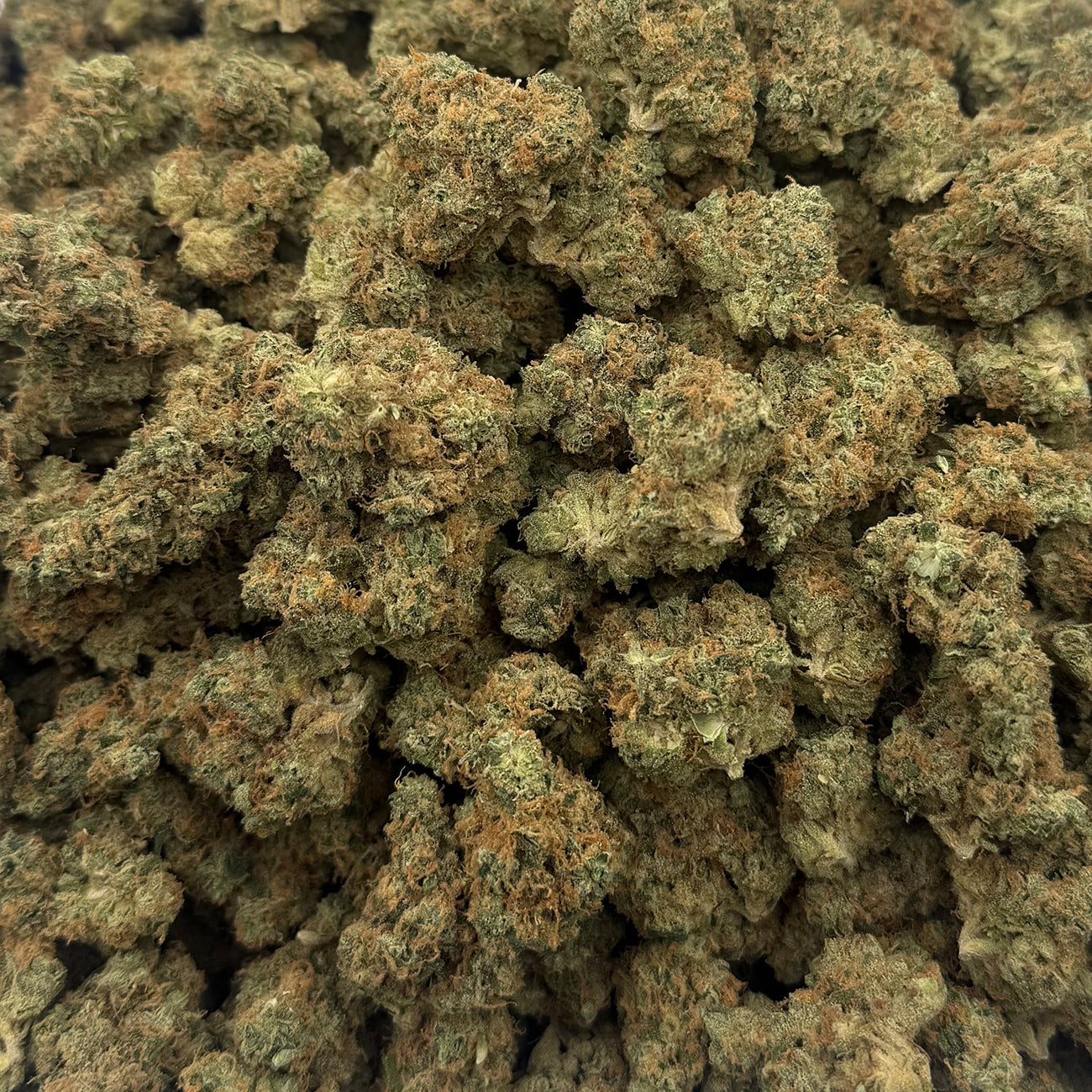 Close-up of Zuava hybrid hemp flower with dense, frosty buds and light green hues