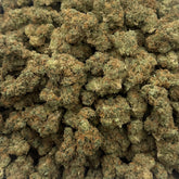 Close-up of Zuava hybrid hemp flower with dense, frosty buds and light green hues