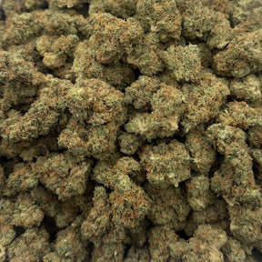 Close-up of Zuava hybrid hemp flower with dense, frosty buds and light green hues
